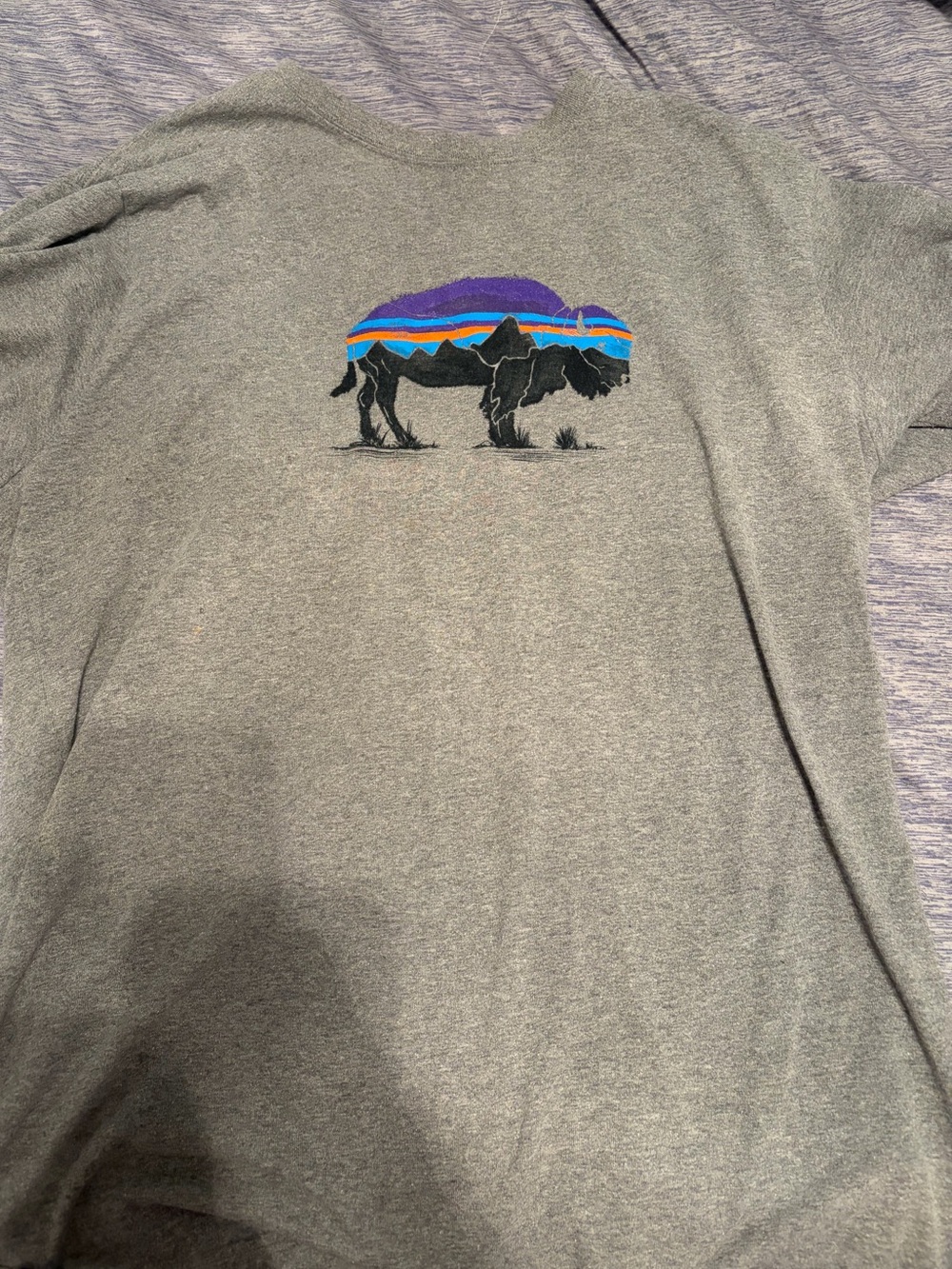 Patagonia Grey Short Sleeve Tee with Multicolor Buffalo Graphic XL